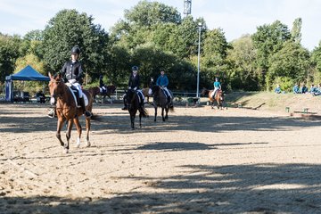 Bild 99 - Pony Akademie Turnier